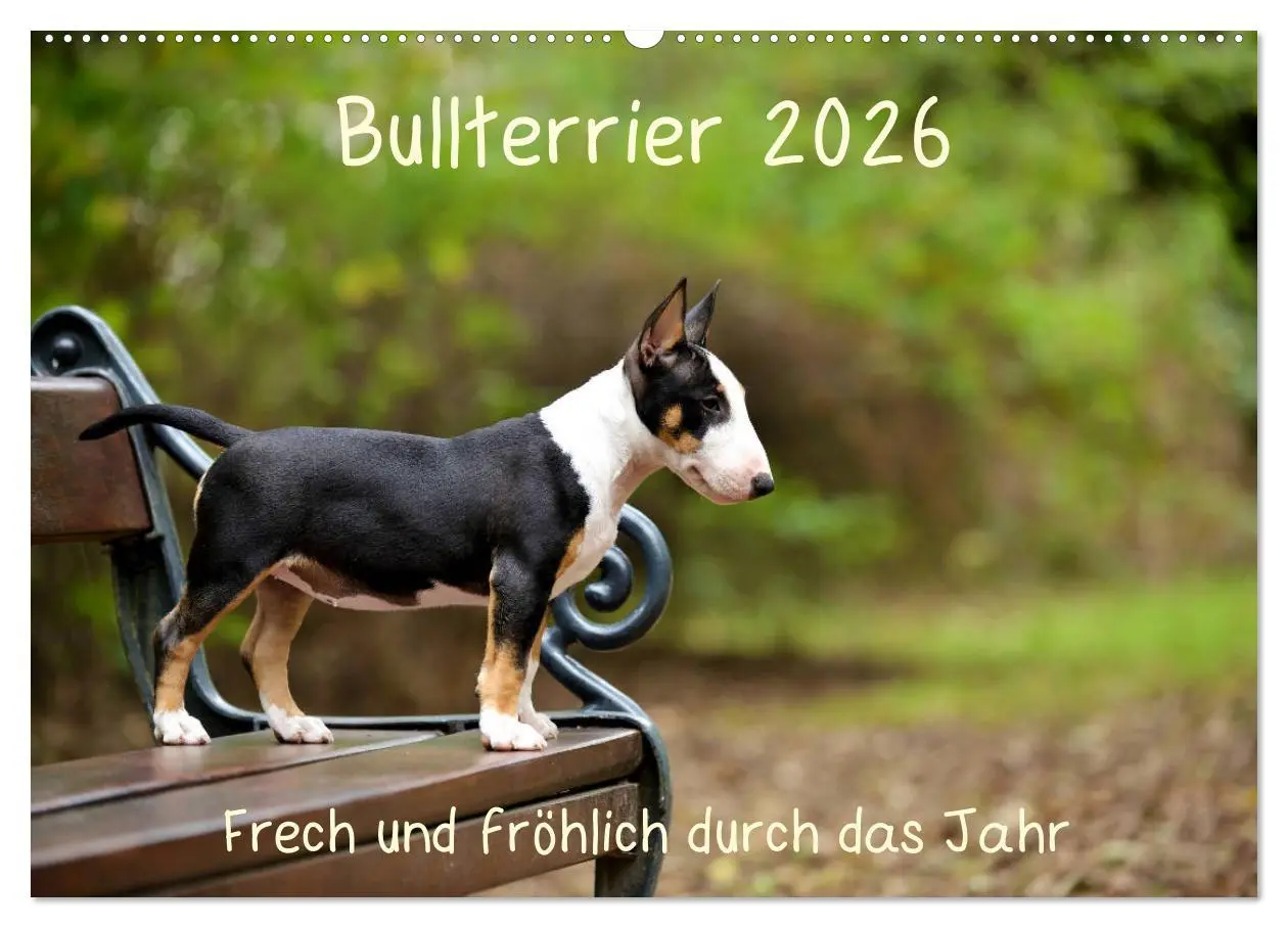 Cover: 9783457841648 | Bullterrier 2026 Frech und fröhlich durch das Jahr (Wandkalender...