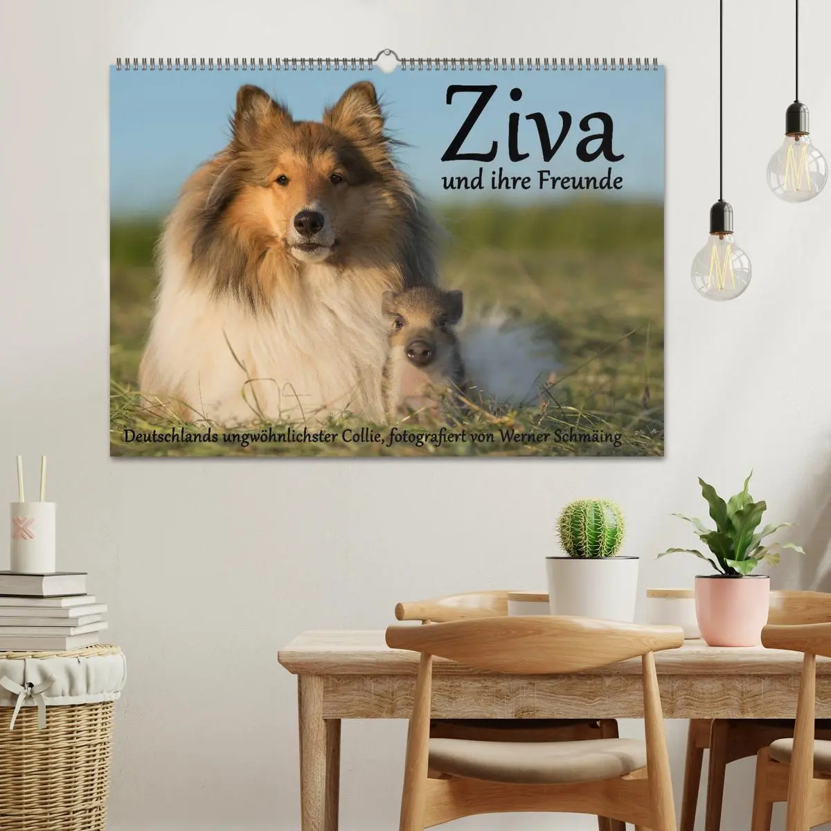 Bild: 9783516001648 | Ziva und ihre Freunde (Wandkalender 2026 DIN A2 quer), CALVENDO...