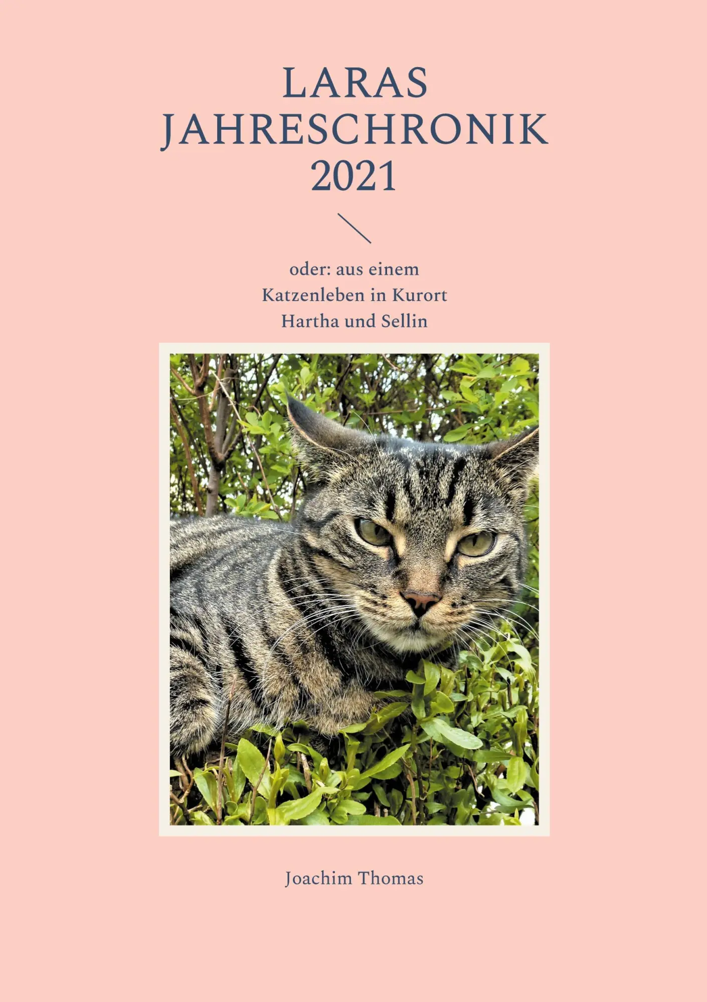 Laras Jahreschronik 2021: oder: aus einem Katzenleben in Kurort Hartha und Sellin