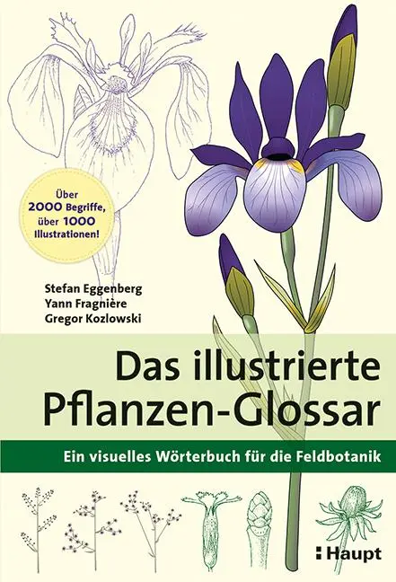 Cover: 9783258081748 | Das illustrierte Pflanzen-Glossar | Stefan Eggenberg (u. a.) | Buch