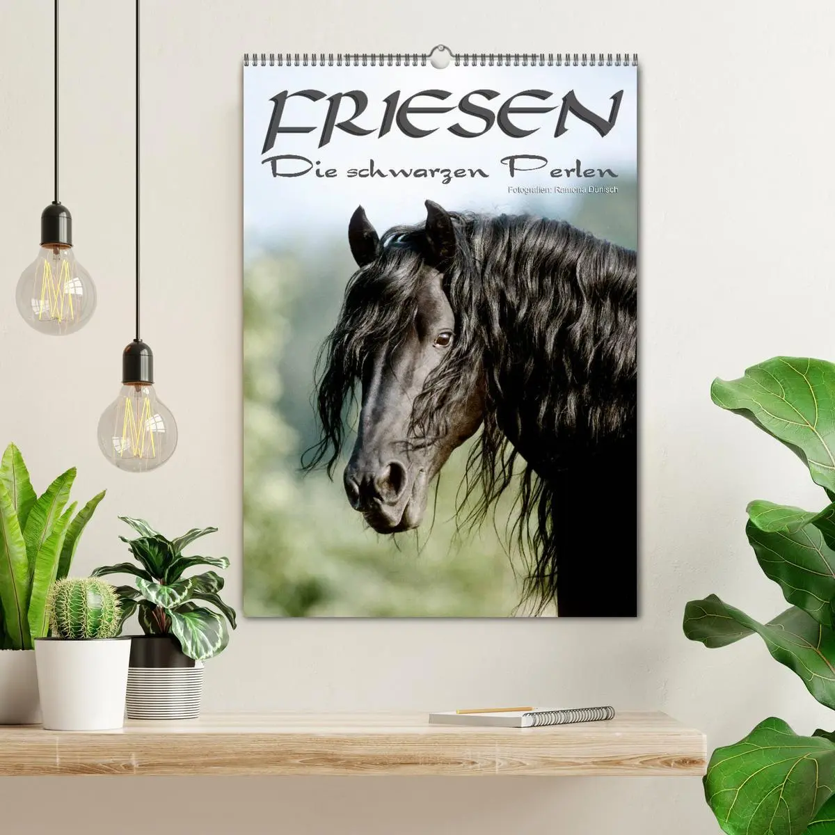 Bild: 9783516471748 | Friesen - die schwarzen Perlen (Wandkalender 2026 DIN A2 hoch),...