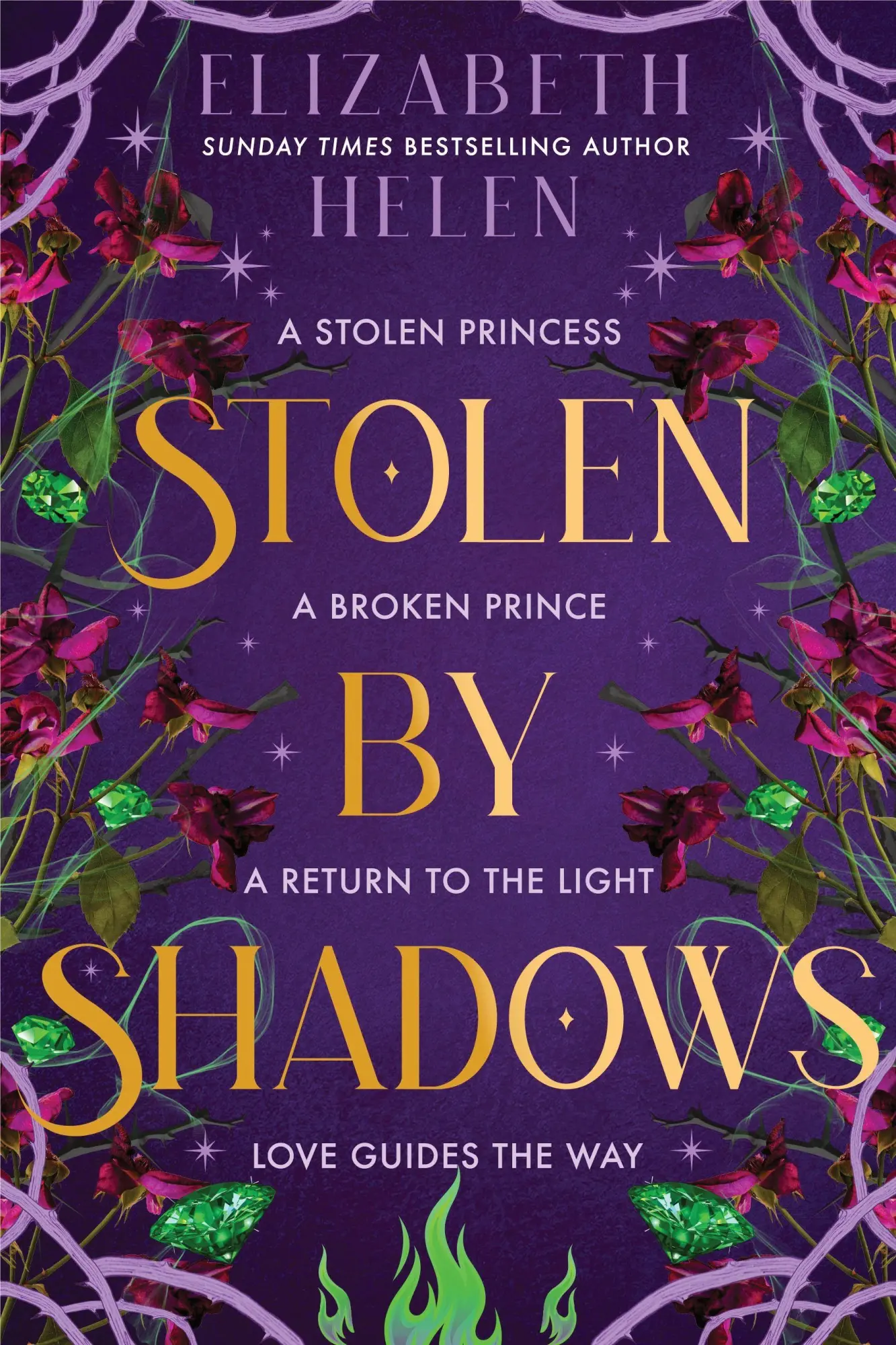 Cover: 9781464261848 | Stolen by Shadows | Elizabeth Helen | Buch | Beasts of the Briar