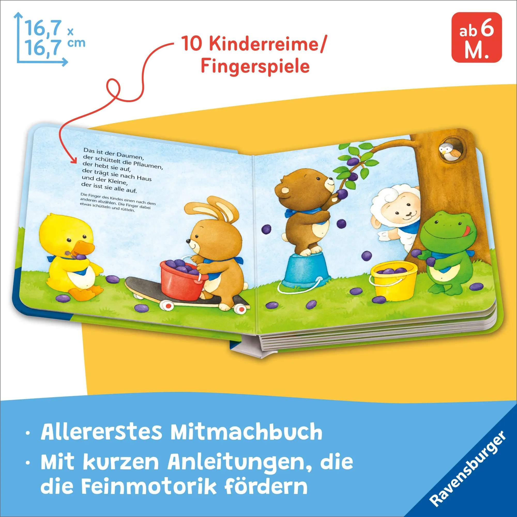 Bild: 9783473421848 | Fingerspiele für Klitzekleine | Meine allerersten Kinderreime | Buch