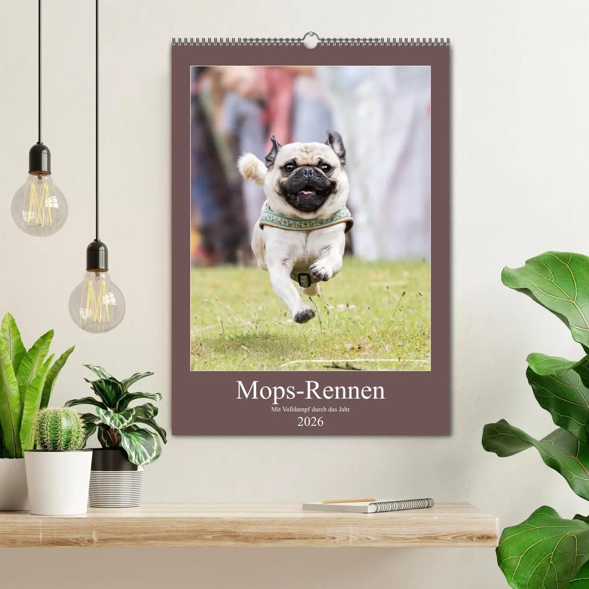 Bild: 9783516391848 | Mops-Rennen (Wandkalender 2026 DIN A2 hoch), CALVENDO Monatskalender