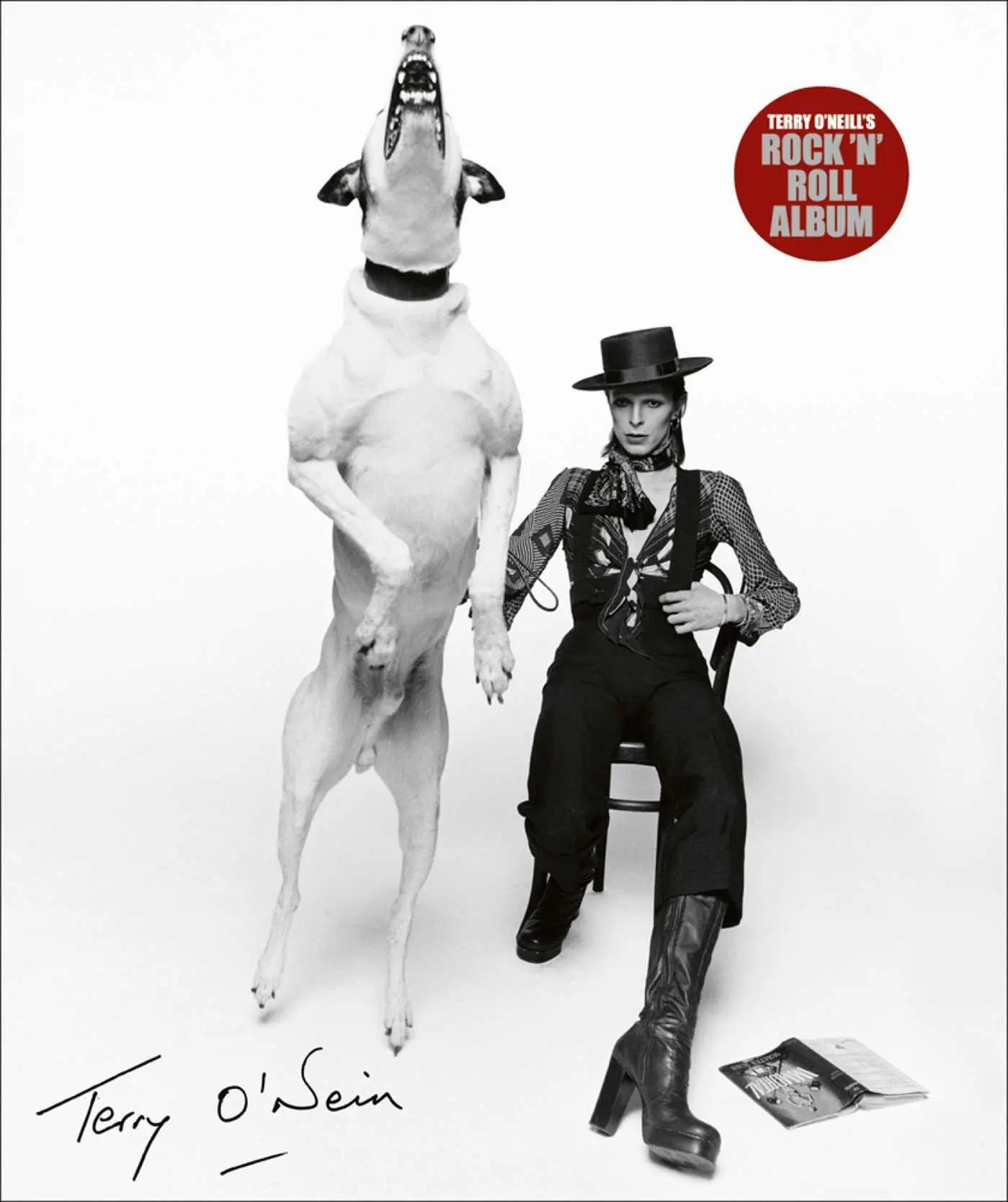 Cover: 9781788841948 | Terry O'Neill's Rock 'n' Roll Album | The A-Z of Rock 'N' Roll | Buch