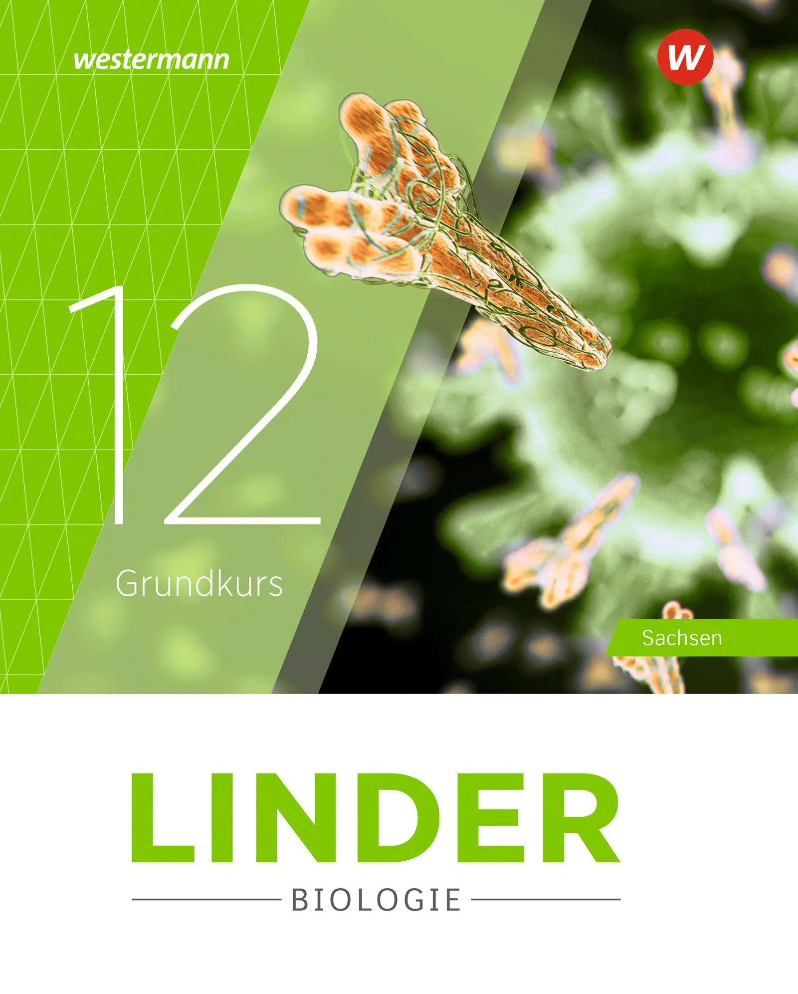 Cover: 9783141521948 | LINDER Biologie SII. Schulbuch 12 Grundkurs. Für Sachsen | Buch | 2026