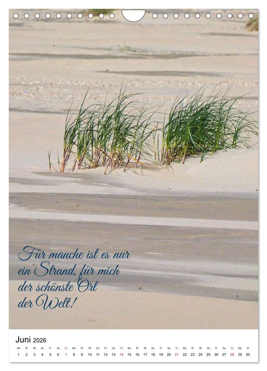 Bild: 9783516381948 | Facettenreiches Borkum (Wandkalender 2026 DIN A4 hoch), CALVENDO...