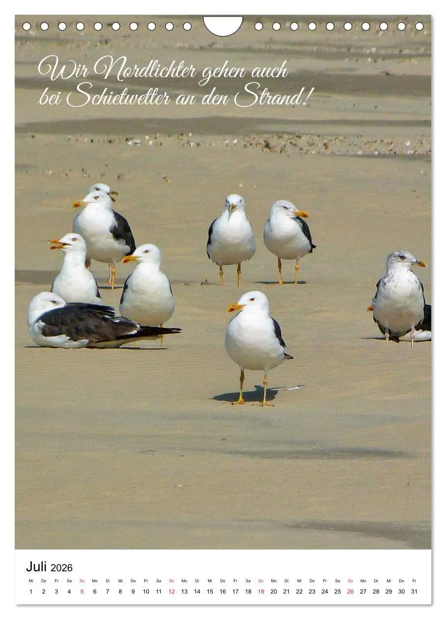 Bild: 9783516381948 | Facettenreiches Borkum (Wandkalender 2026 DIN A4 hoch), CALVENDO...