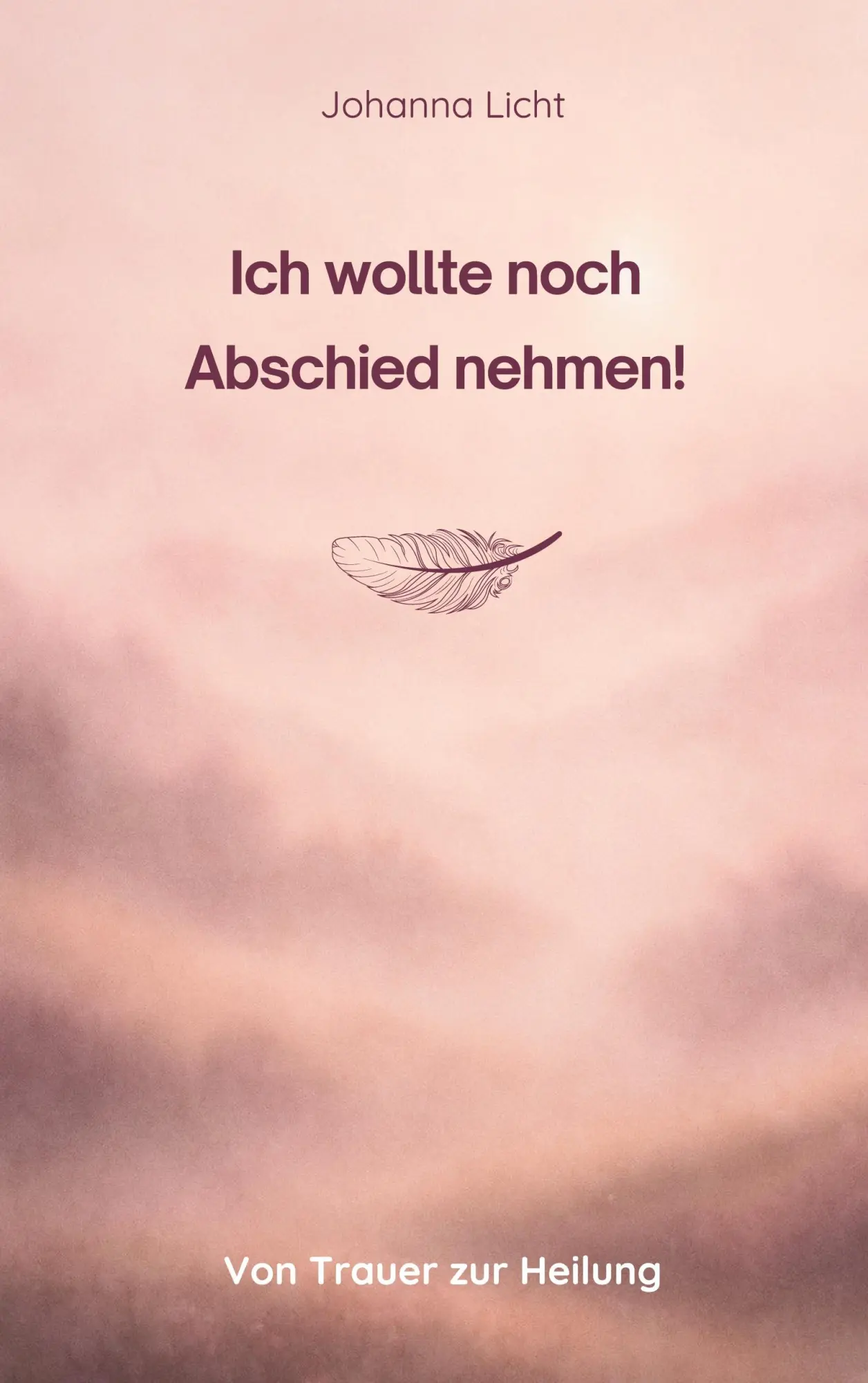 Cover: 9783695101948 | Ich wollte noch Abschied nehmen! | Von Trauer zur Heilung | Licht