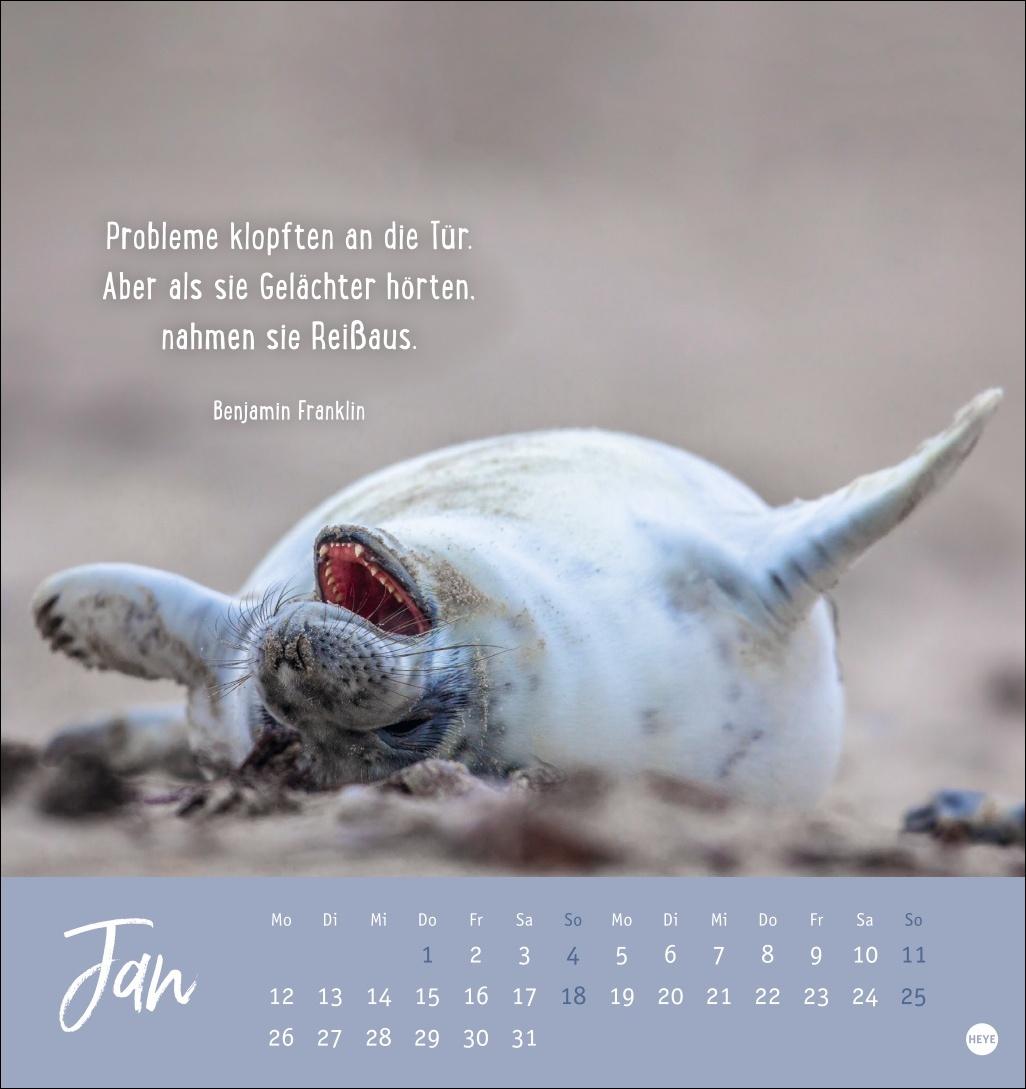 Bild: 9783756411948 | Never give up! Postkartenkalender 2026 - Durchhalten. Denn alles...