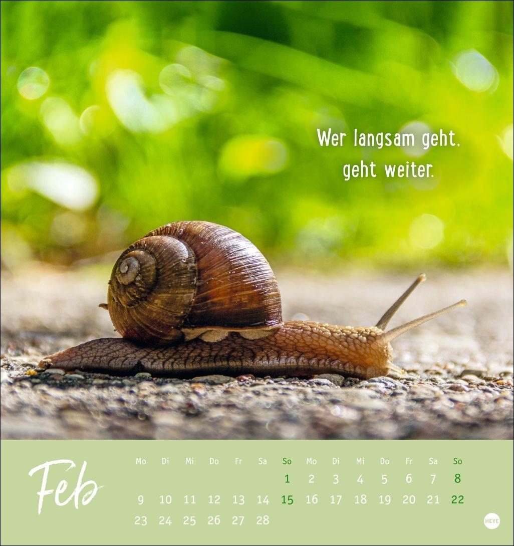 Bild: 9783756411948 | Never give up! Postkartenkalender 2026 - Durchhalten. Denn alles...