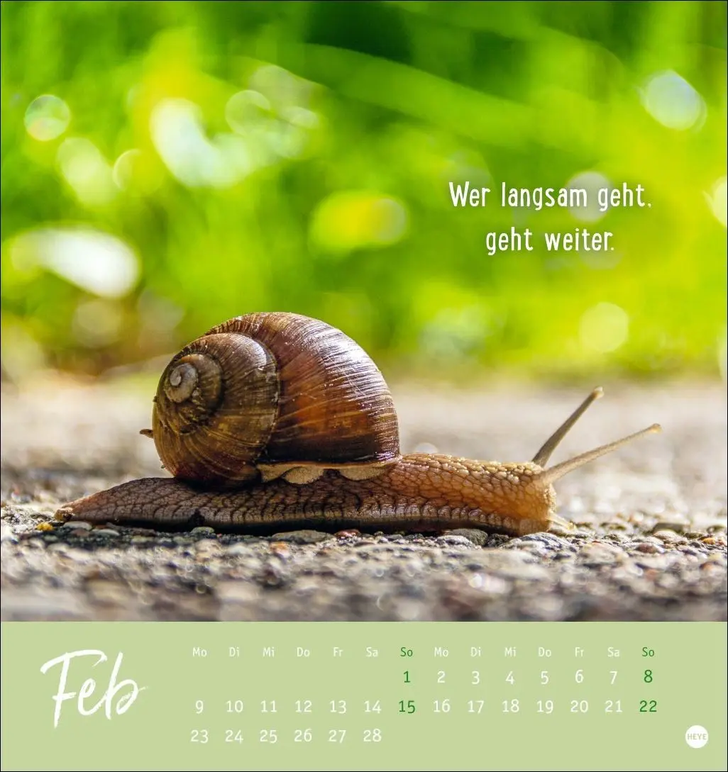 Bild: 9783756411948 | Never give up! Postkartenkalender 2026 - Durchhalten. Denn alles...