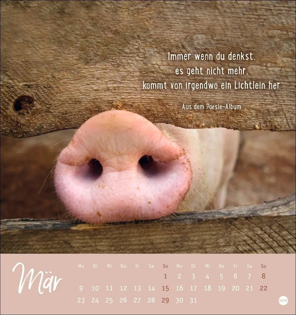 Bild: 9783756411948 | Never give up! Postkartenkalender 2026 - Durchhalten. Denn alles...