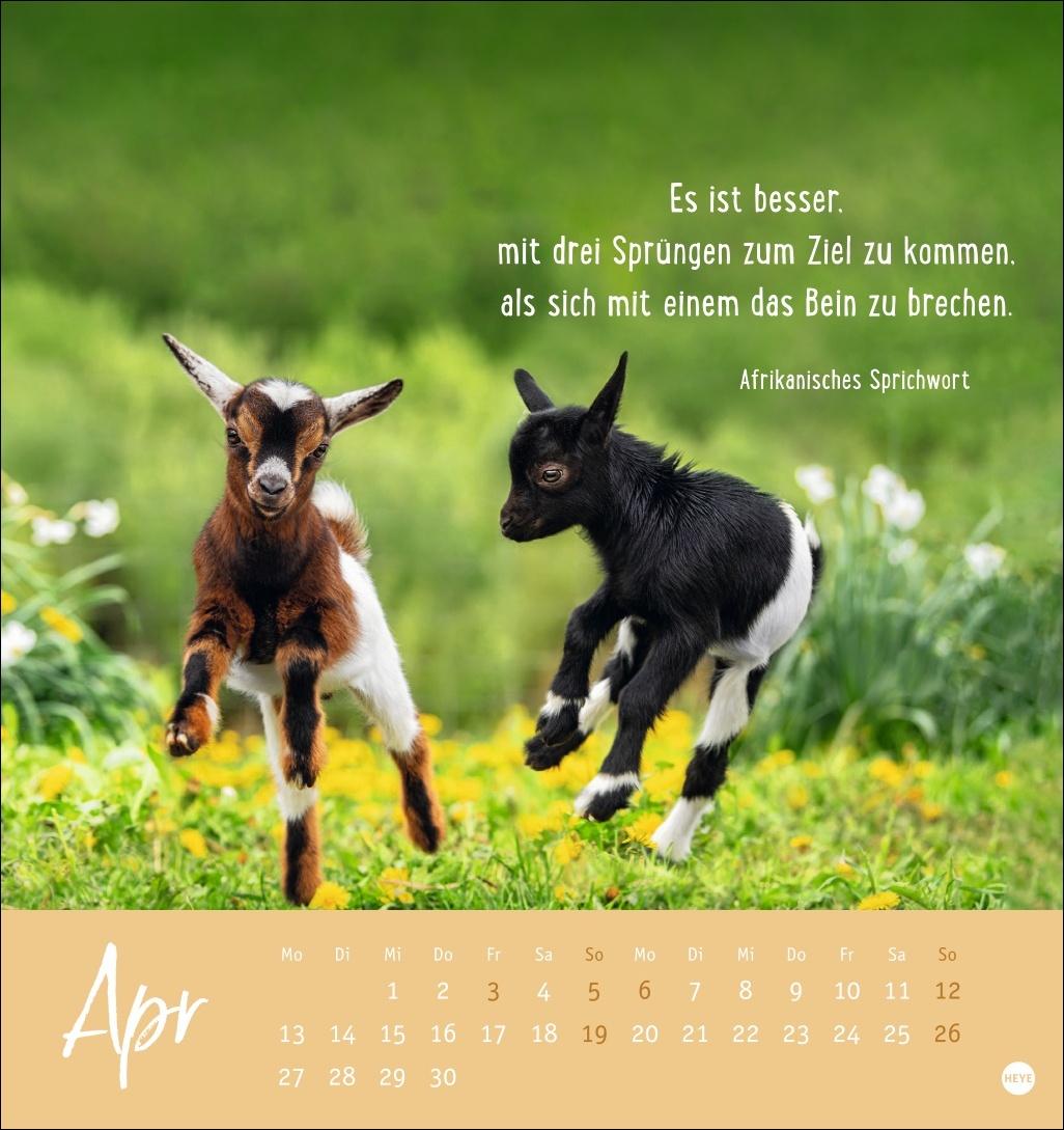 Bild: 9783756411948 | Never give up! Postkartenkalender 2026 - Durchhalten. Denn alles...