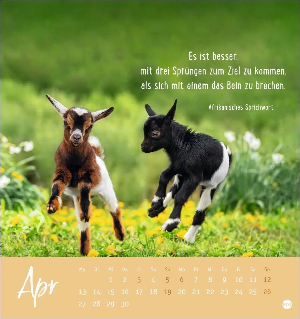 Bild: 9783756411948 | Never give up! Postkartenkalender 2026 - Durchhalten. Denn alles...