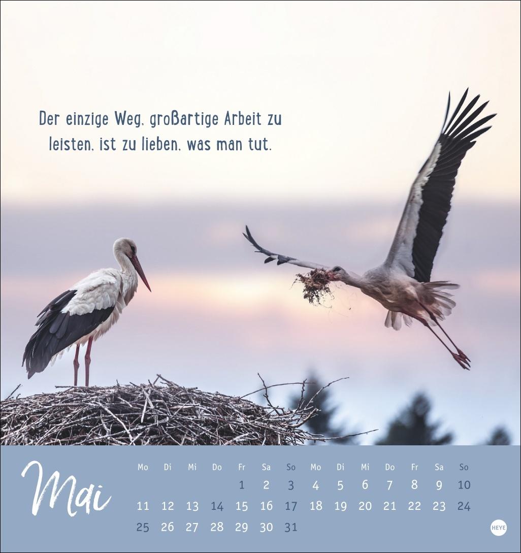 Bild: 9783756411948 | Never give up! Postkartenkalender 2026 - Durchhalten. Denn alles...