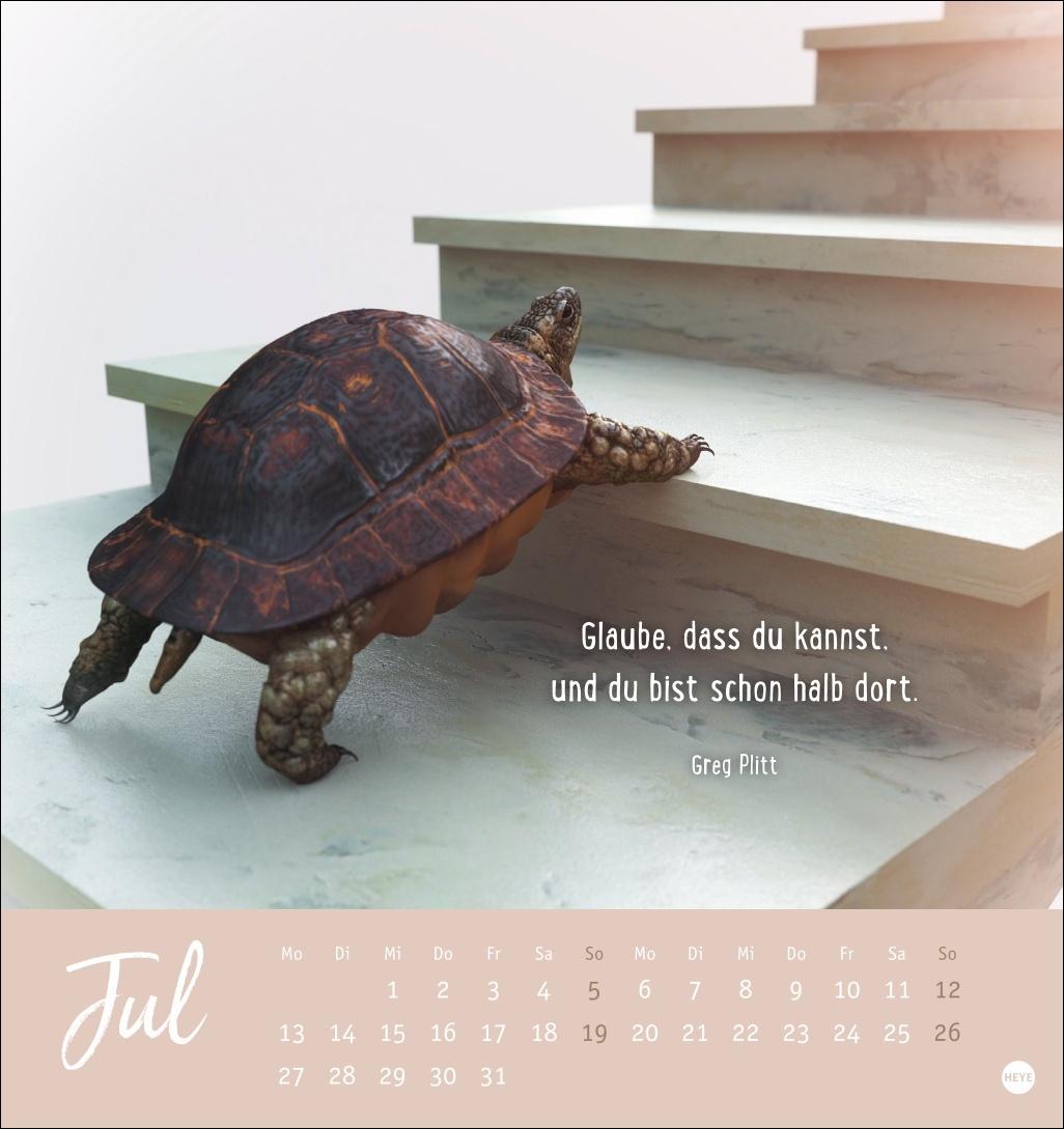 Bild: 9783756411948 | Never give up! Postkartenkalender 2026 - Durchhalten. Denn alles...