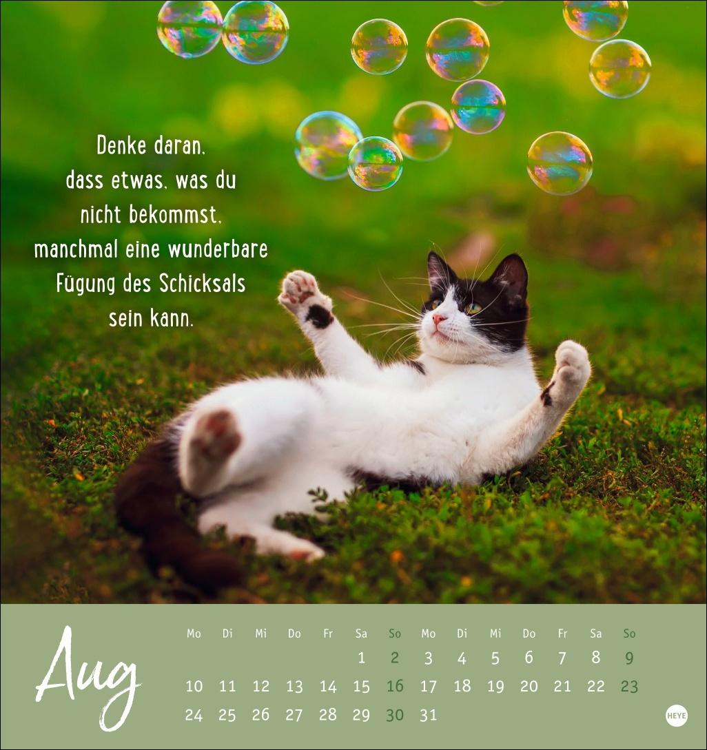 Bild: 9783756411948 | Never give up! Postkartenkalender 2026 - Durchhalten. Denn alles...
