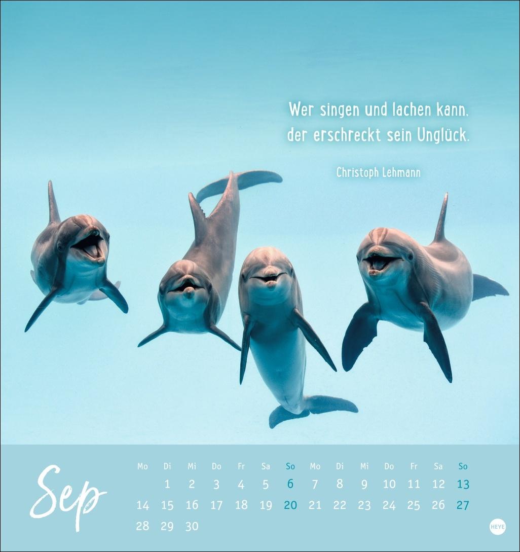Bild: 9783756411948 | Never give up! Postkartenkalender 2026 - Durchhalten. Denn alles...