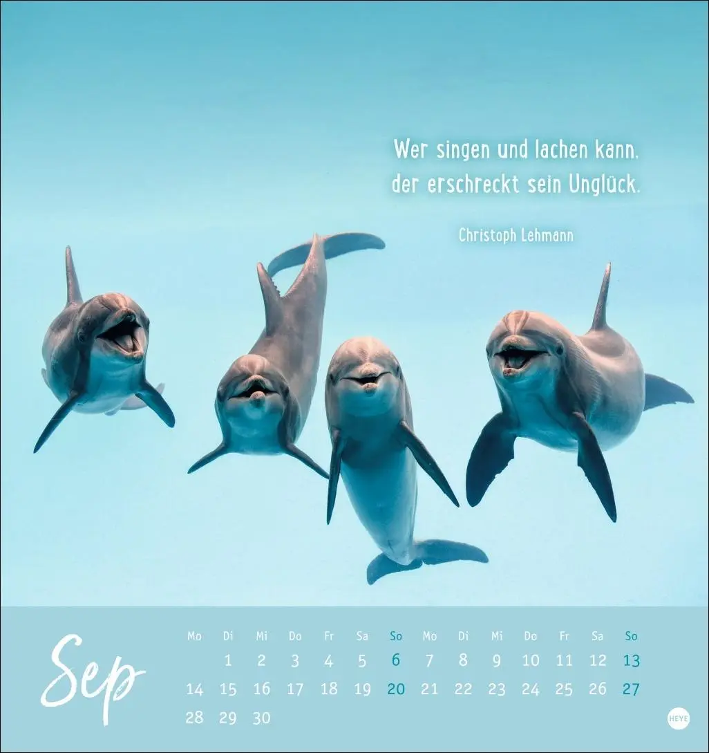 Bild: 9783756411948 | Never give up! Postkartenkalender 2026 - Durchhalten. Denn alles...