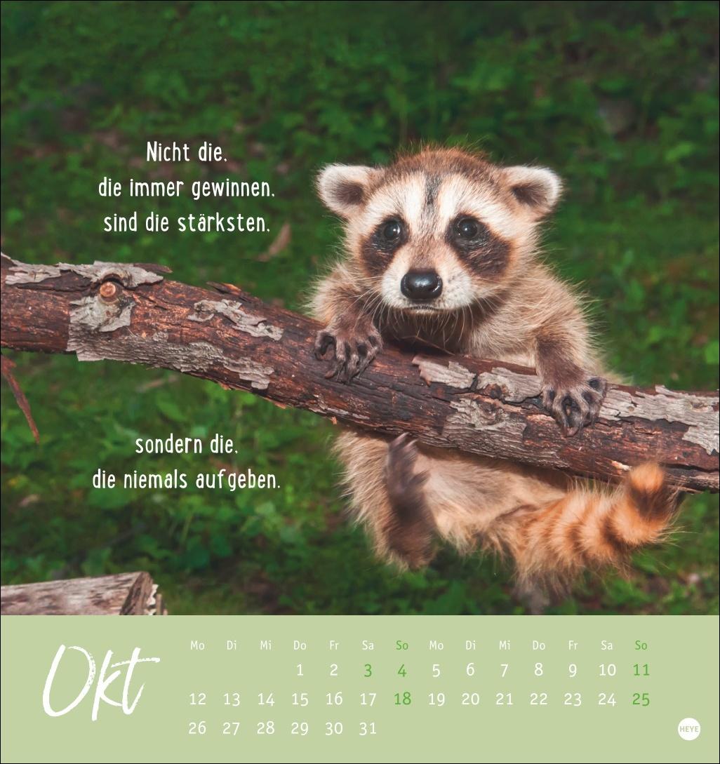 Bild: 9783756411948 | Never give up! Postkartenkalender 2026 - Durchhalten. Denn alles...