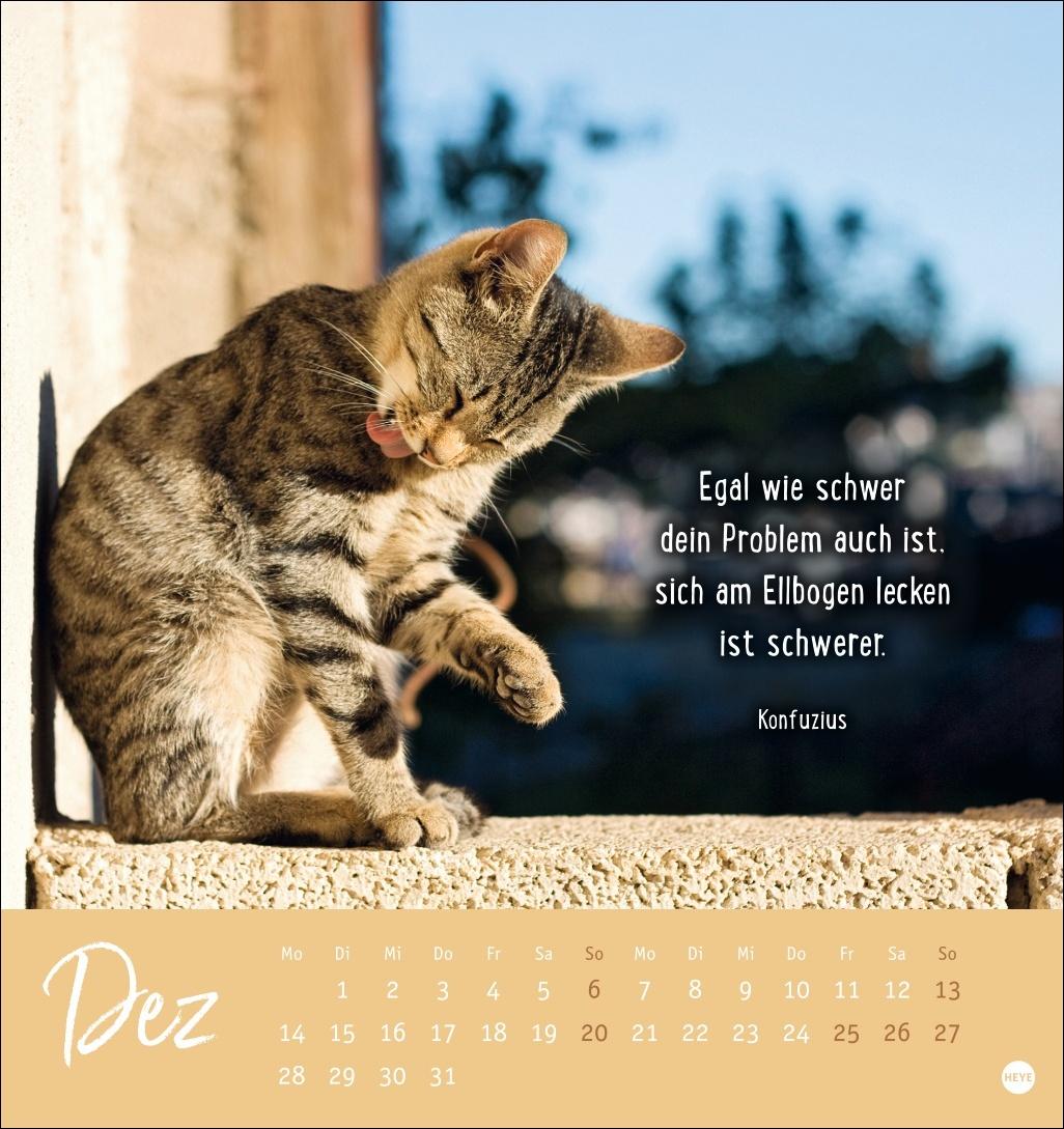Bild: 9783756411948 | Never give up! Postkartenkalender 2026 - Durchhalten. Denn alles...