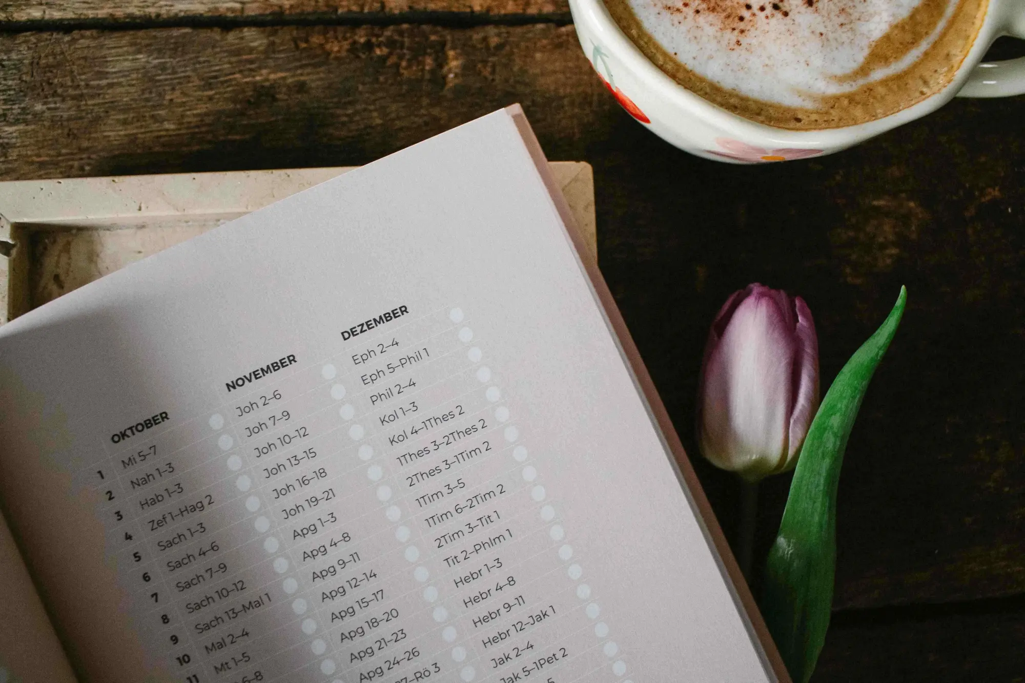 Bild: 9783986951948 | Blühende Worte. Dein Bibellese-Journal | Jeannette Mokosch | Buch