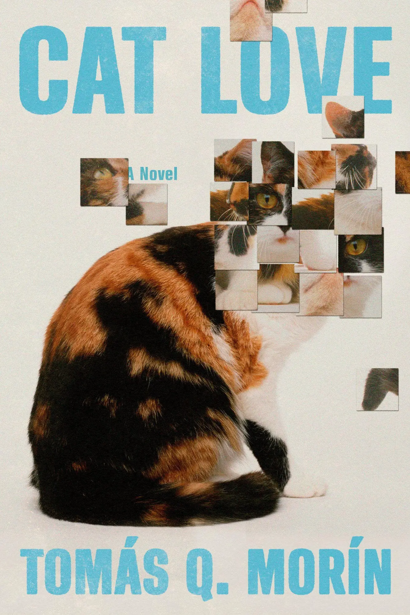 Cover: 9780593702048 | Cat Love | Tomás Q Morín | Buch | Einband - fest (Hardcover) | 2026