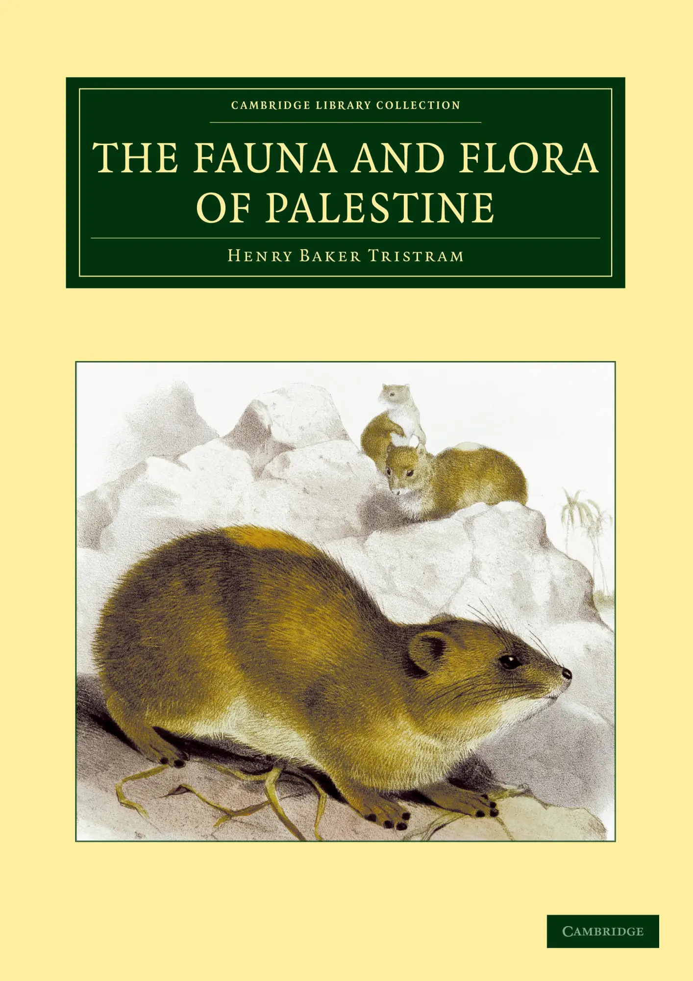 Cover: 9781108042048 | The Fauna and Flora of Palestine | Henry Baker Tristram | Taschenbuch