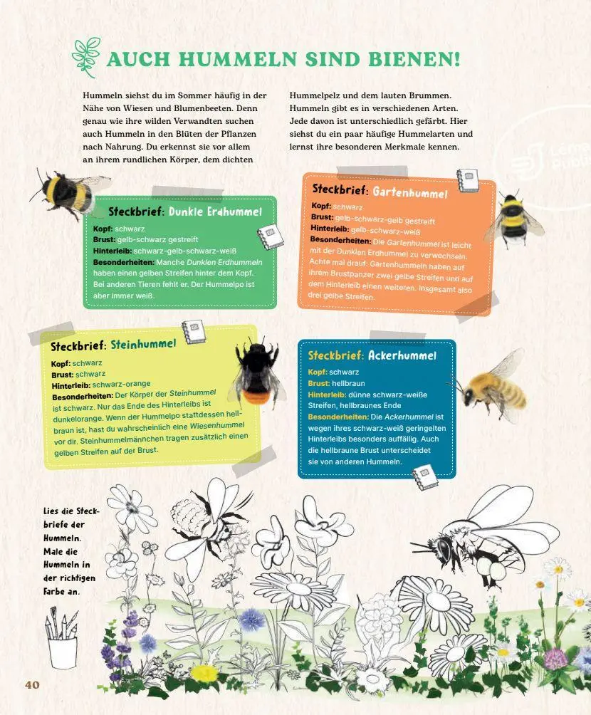 Bild: 9782970172048 | Bienen | Johanna Prinz | Buch | 48 S. | Deutsch | 2024
