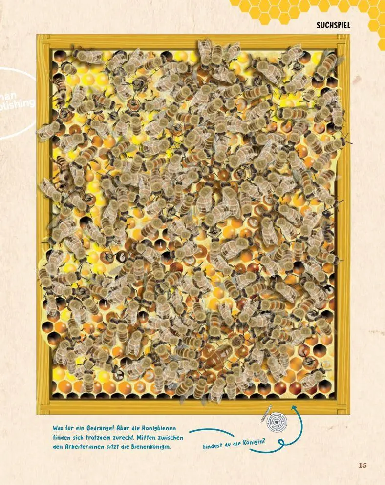 Bild: 9782970172048 | Bienen | Johanna Prinz | Buch | 48 S. | Deutsch | 2024