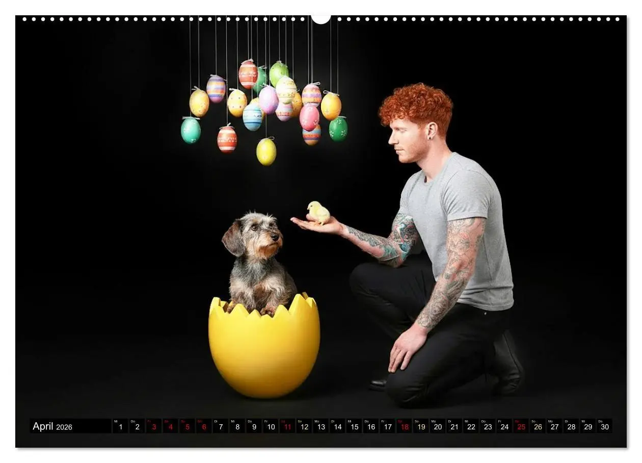 Bild: 9783516722048 | Coole Typen - Rauhaardackel (Wandkalender 2026 DIN A2 quer),...