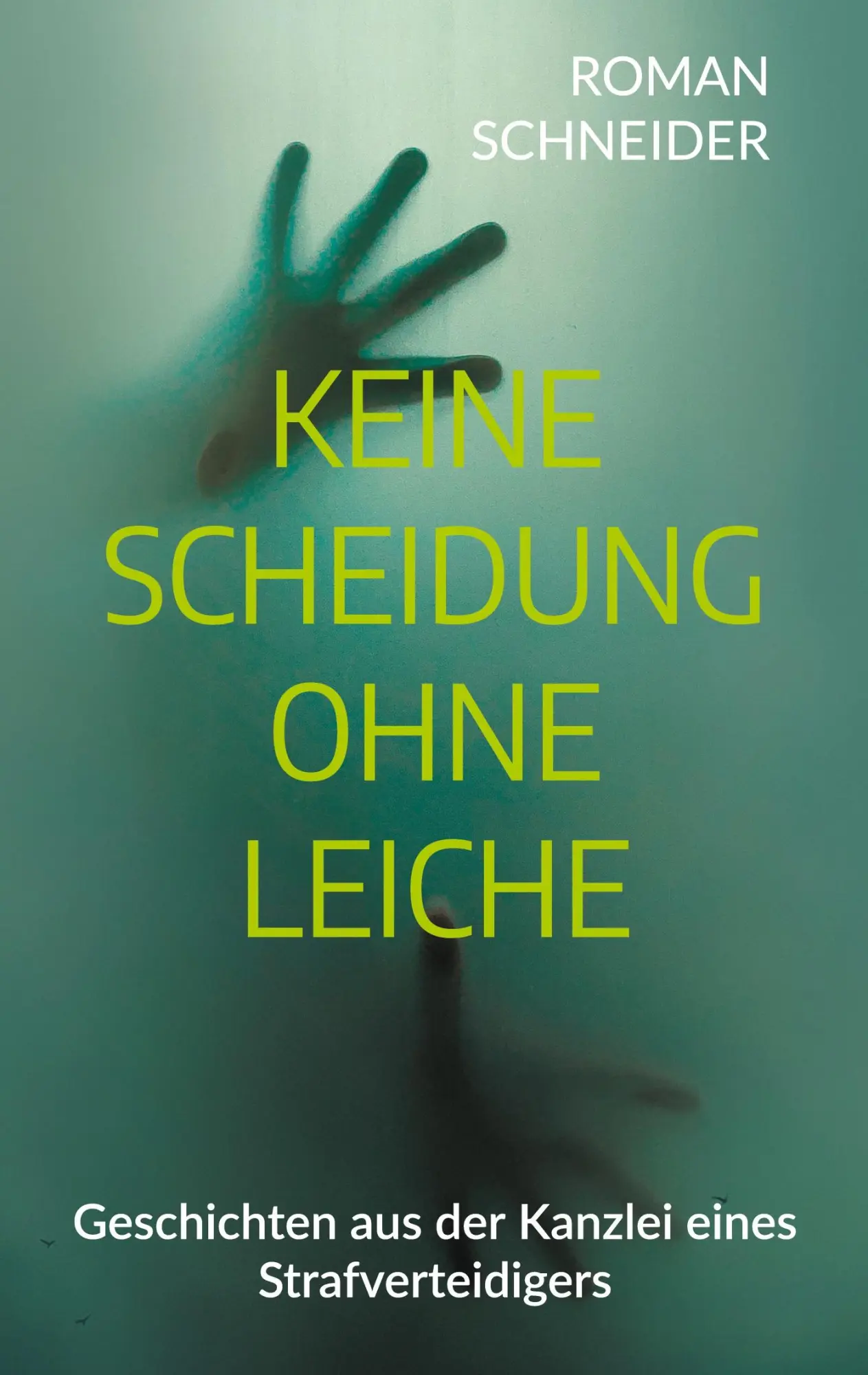 Cover: 9783819212048 | Keine Scheidung ohne Leiche | Roman Schneider | Taschenbuch | 156 S.