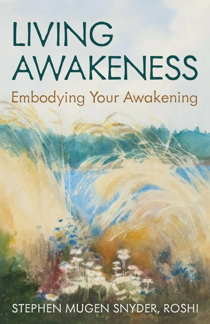 Cover: 9798988172048 | Living Awakeness | Embodying Your Awakening | Stephen Snyder | Buch