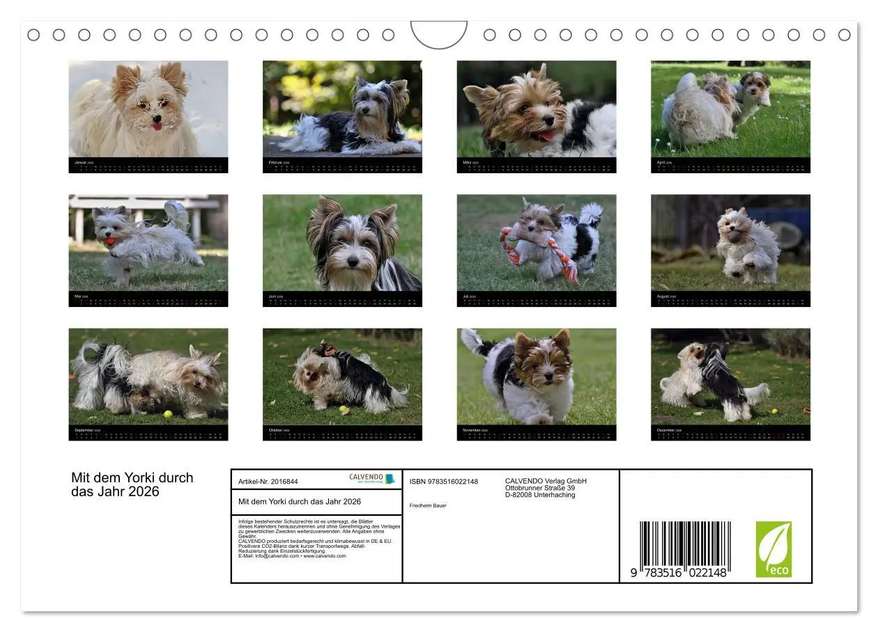 Bild: 9783516022148 | Mit dem Yorki durch das Jahr 2026 (Wandkalender 2026 DIN A4 quer),...