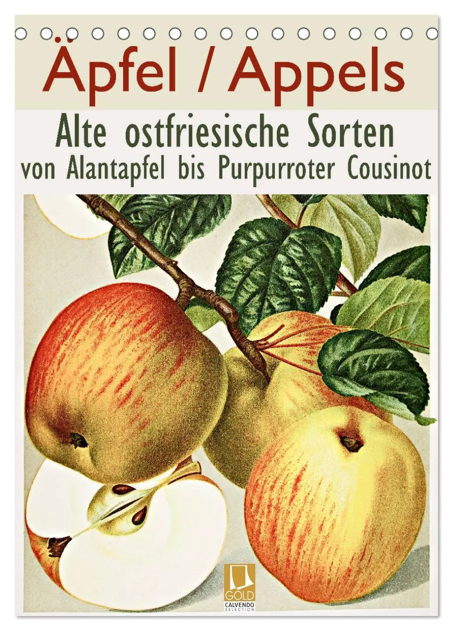 Cover: 9783516402148 | Äpfel/Appels. Alte ostfriesische Sorten (Tischkalender 2026 DIN A5...