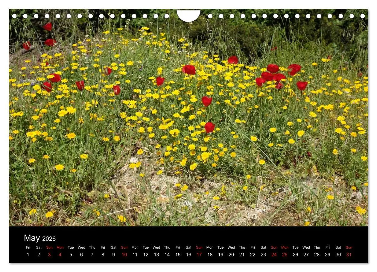 Bild: 9783516572148 | The Greek Island Of Ikaria (Wall Calendar 2026 DIN A4 landscape),...