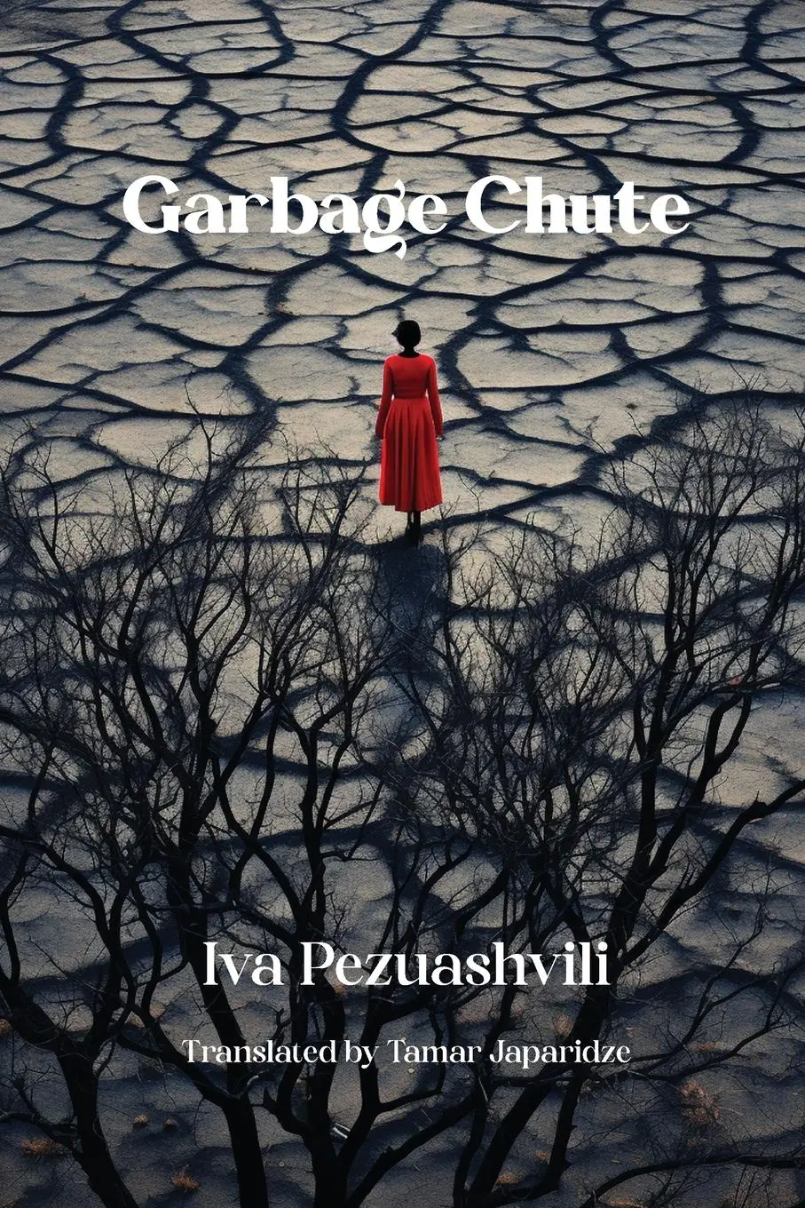 Cover: 9781772312348 | Garbage Chute | Iva Pezuashvili | Taschenbuch | Englisch | 2023