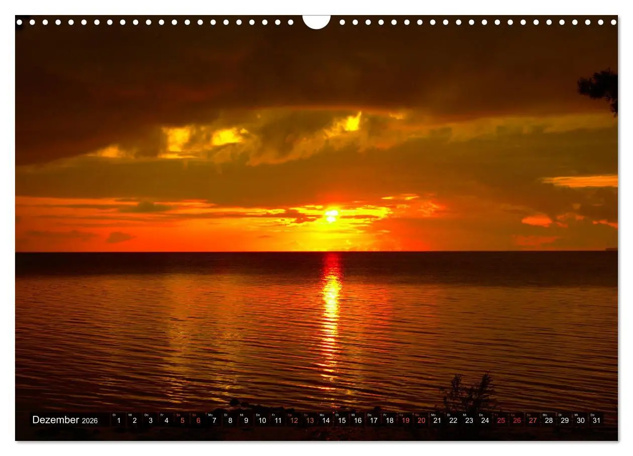 Bild: 9783457772348 | Bezauberndes Estland (Wandkalender 2026 DIN A3 quer), CALVENDO...