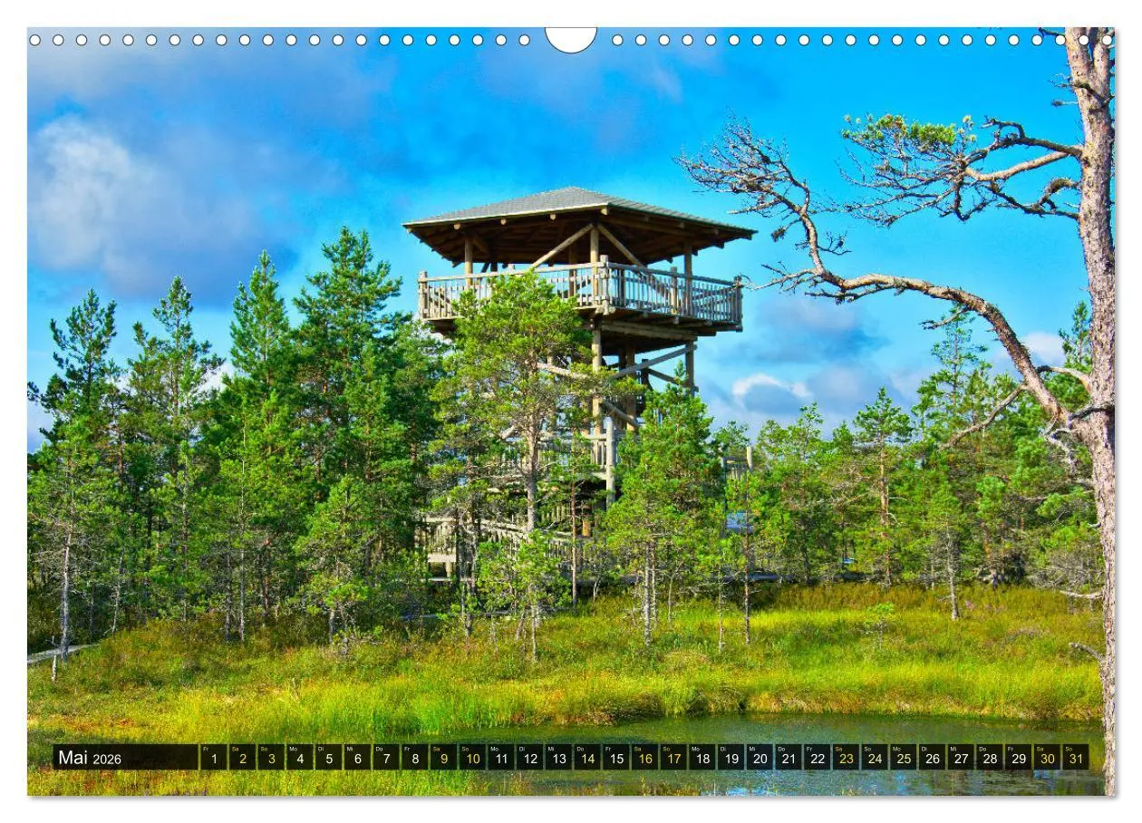 Bild: 9783457772348 | Bezauberndes Estland (Wandkalender 2026 DIN A3 quer), CALVENDO...