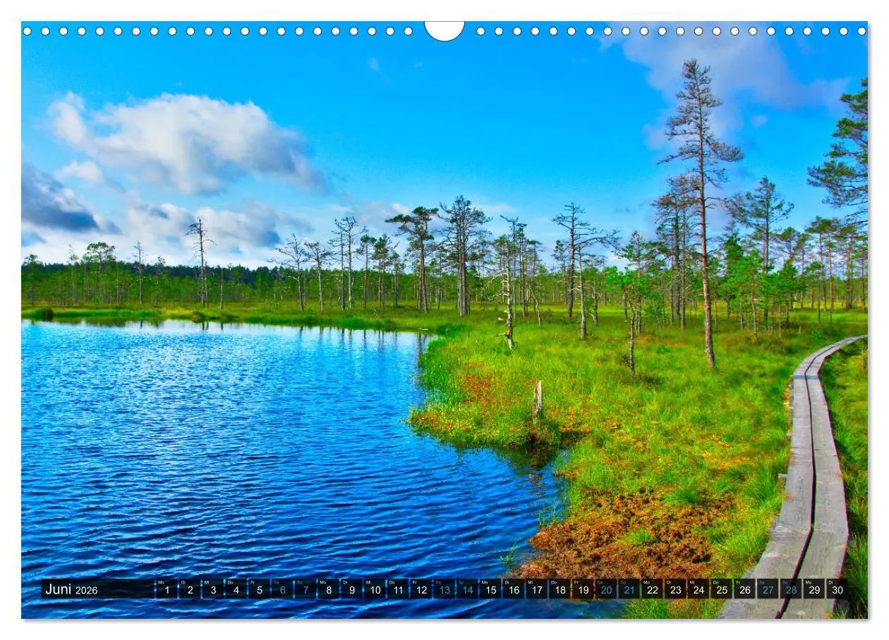 Bild: 9783457772348 | Bezauberndes Estland (Wandkalender 2026 DIN A3 quer), CALVENDO...