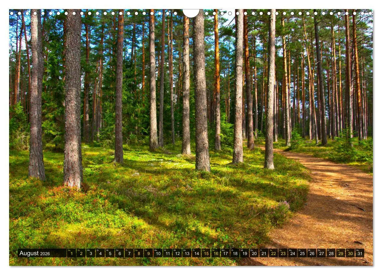 Bild: 9783457772348 | Bezauberndes Estland (Wandkalender 2026 DIN A3 quer), CALVENDO...