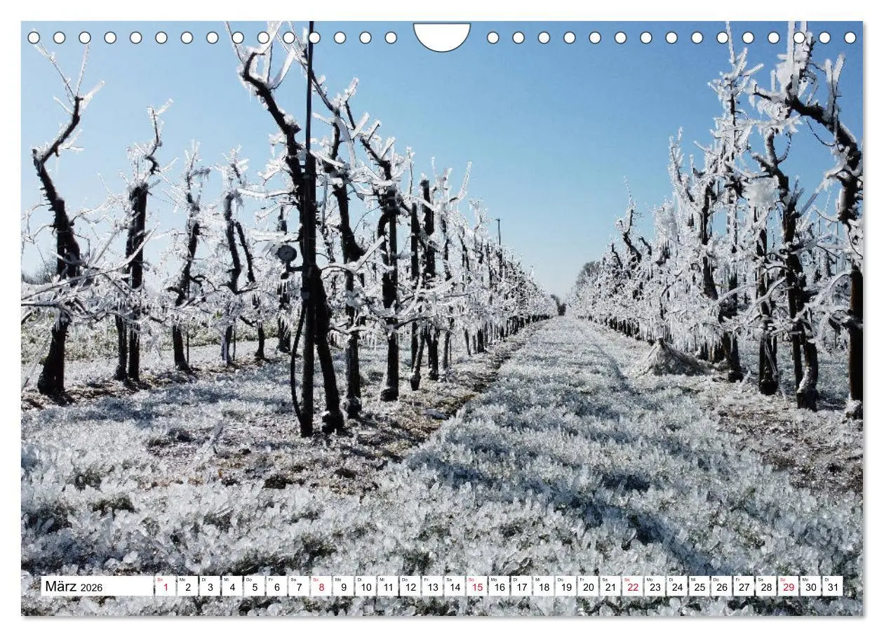 Bild: 9783457692448 | Lehrte (Wandkalender 2026 DIN A4 quer), CALVENDO Monatskalender | 2026