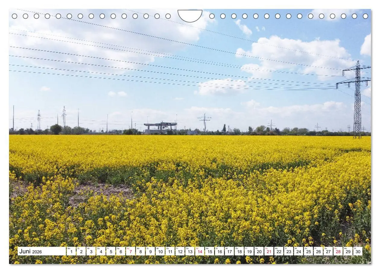 Bild: 9783457692448 | Lehrte (Wandkalender 2026 DIN A4 quer), CALVENDO Monatskalender | 2026