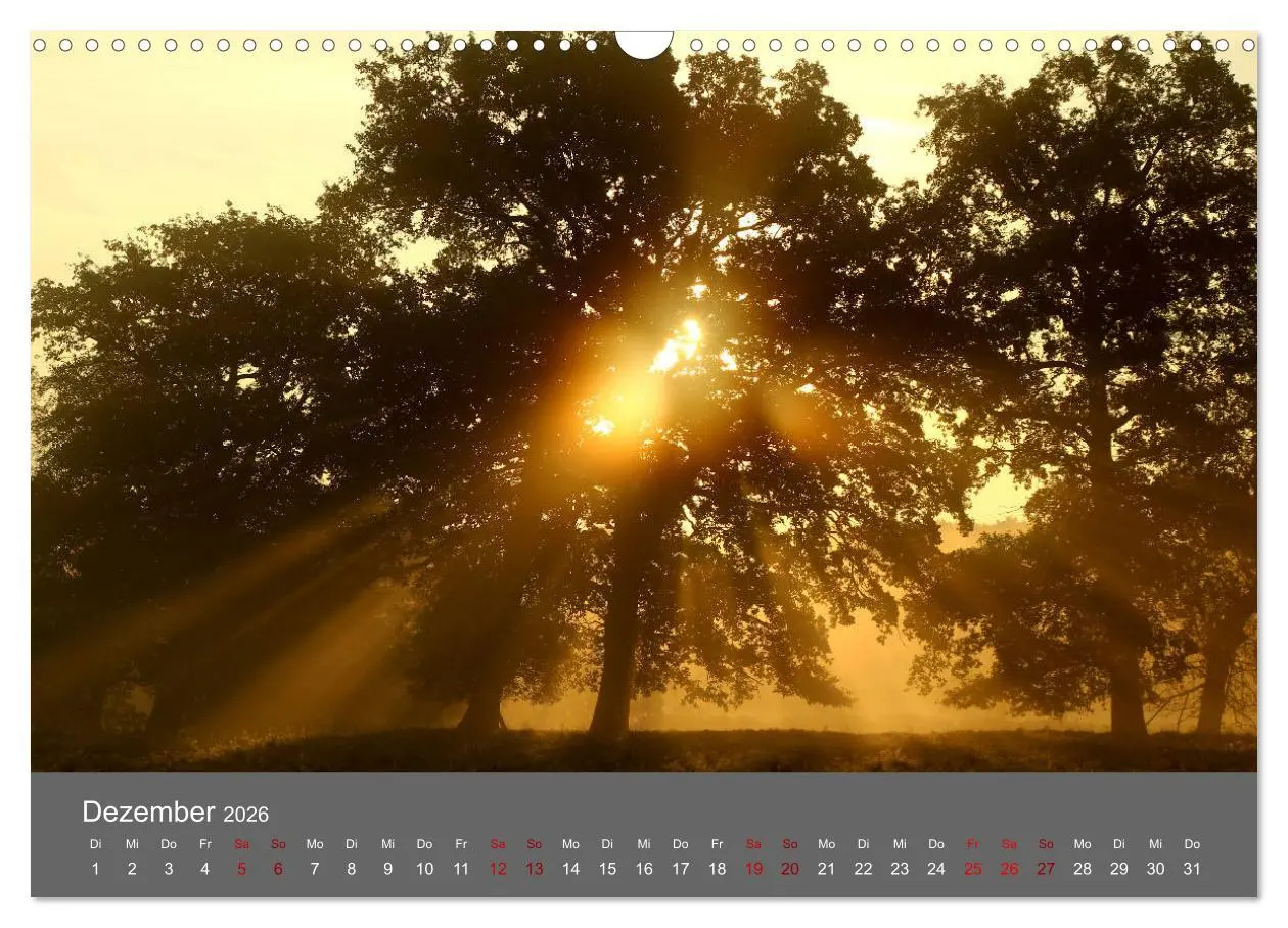 Bild: 9783457902448 | Wahner Heide - Aussichten und Begegnungen (Wandkalender 2026 DIN A3...