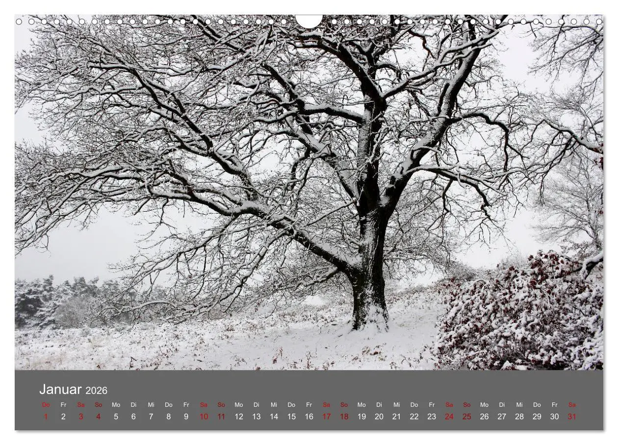 Bild: 9783457902448 | Wahner Heide - Aussichten und Begegnungen (Wandkalender 2026 DIN A3...