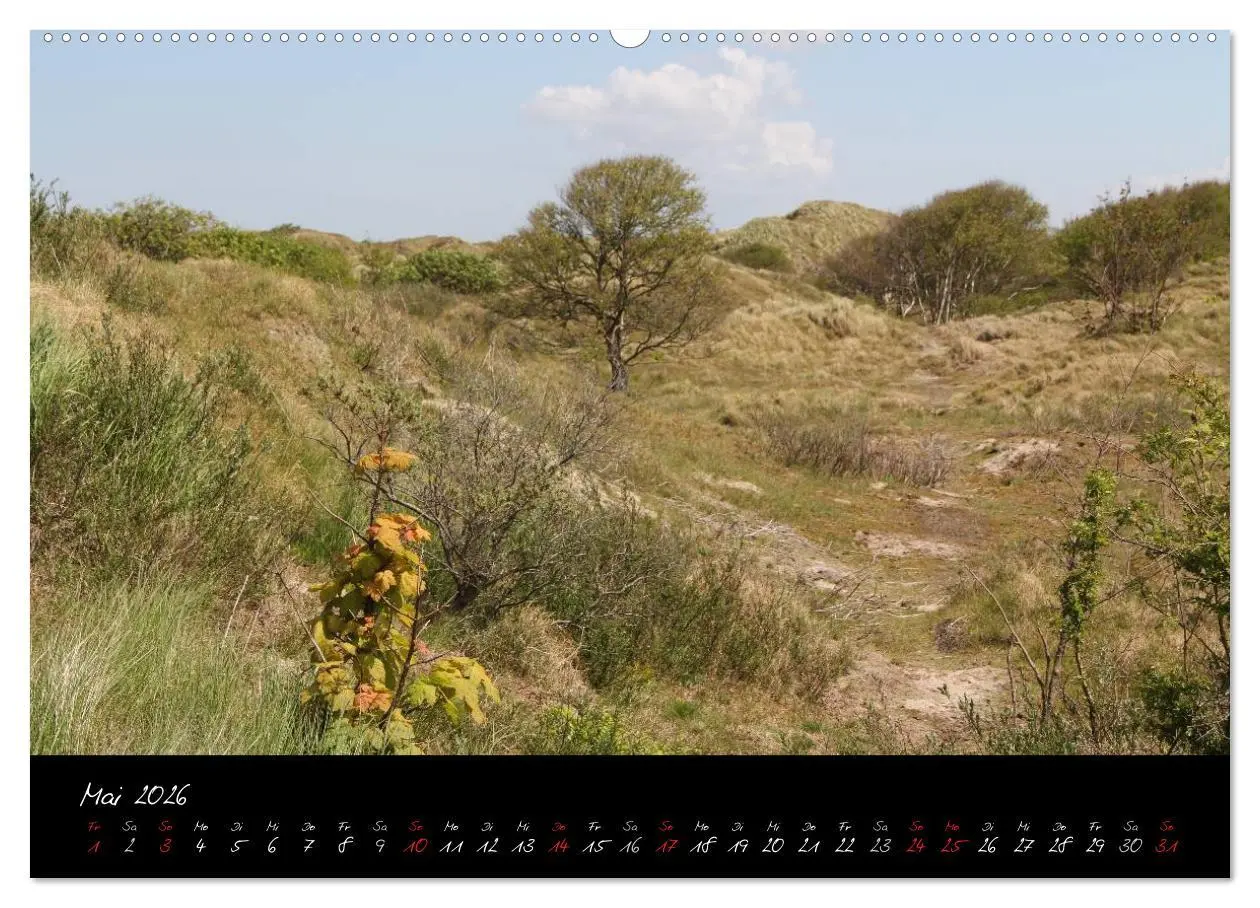 Bild: 9783516232448 | Baltrum (Wandkalender 2026 DIN A2 quer), CALVENDO Monatskalender
