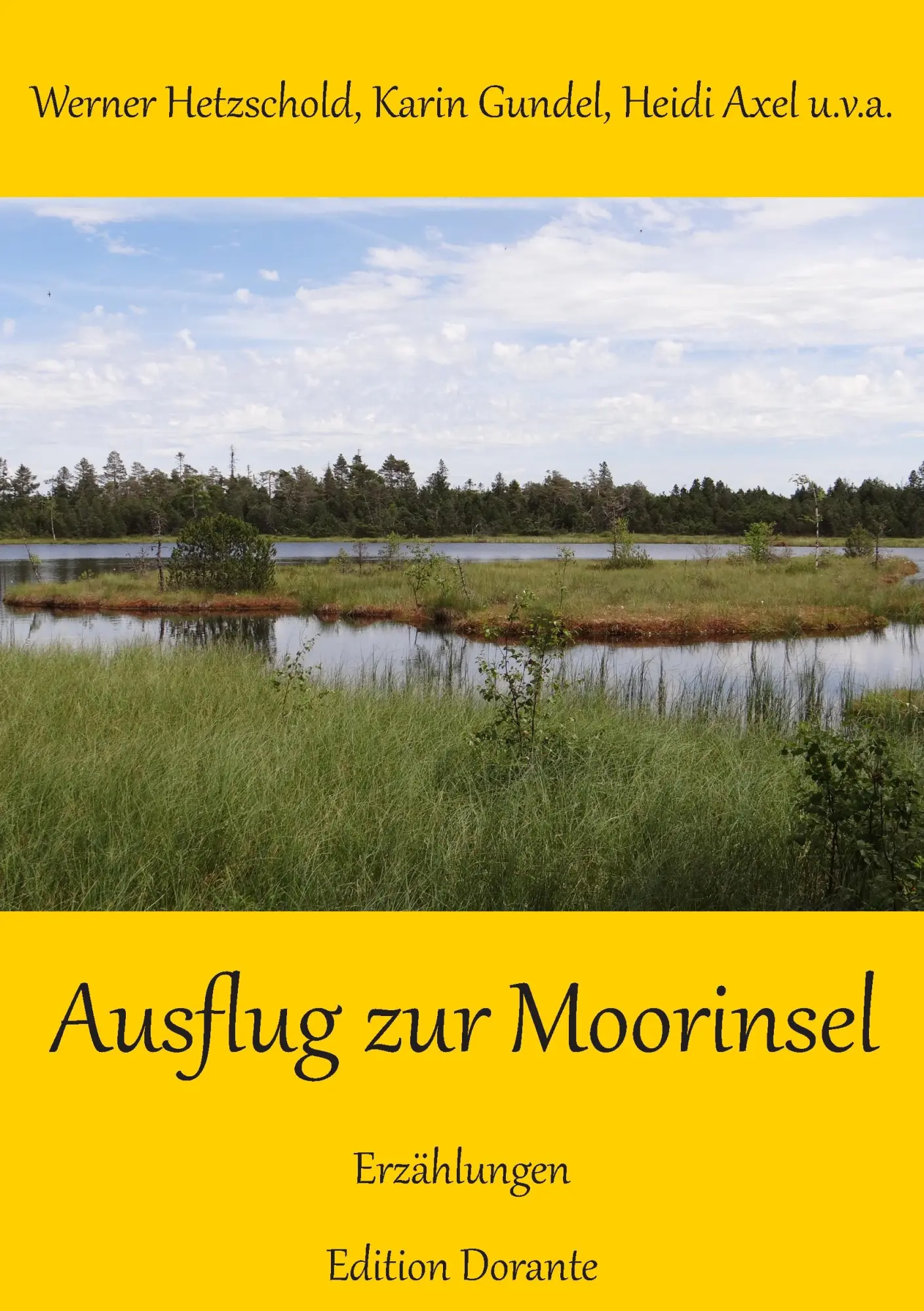 Ausflug zur Moorinsel: Erzählungen