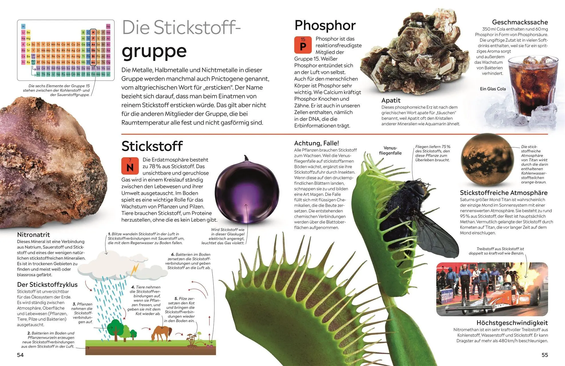 Bild: 9783831052448 | memo Wissen. Chemische Elemente | Adrian Dingle | Buch | memo Wissen
