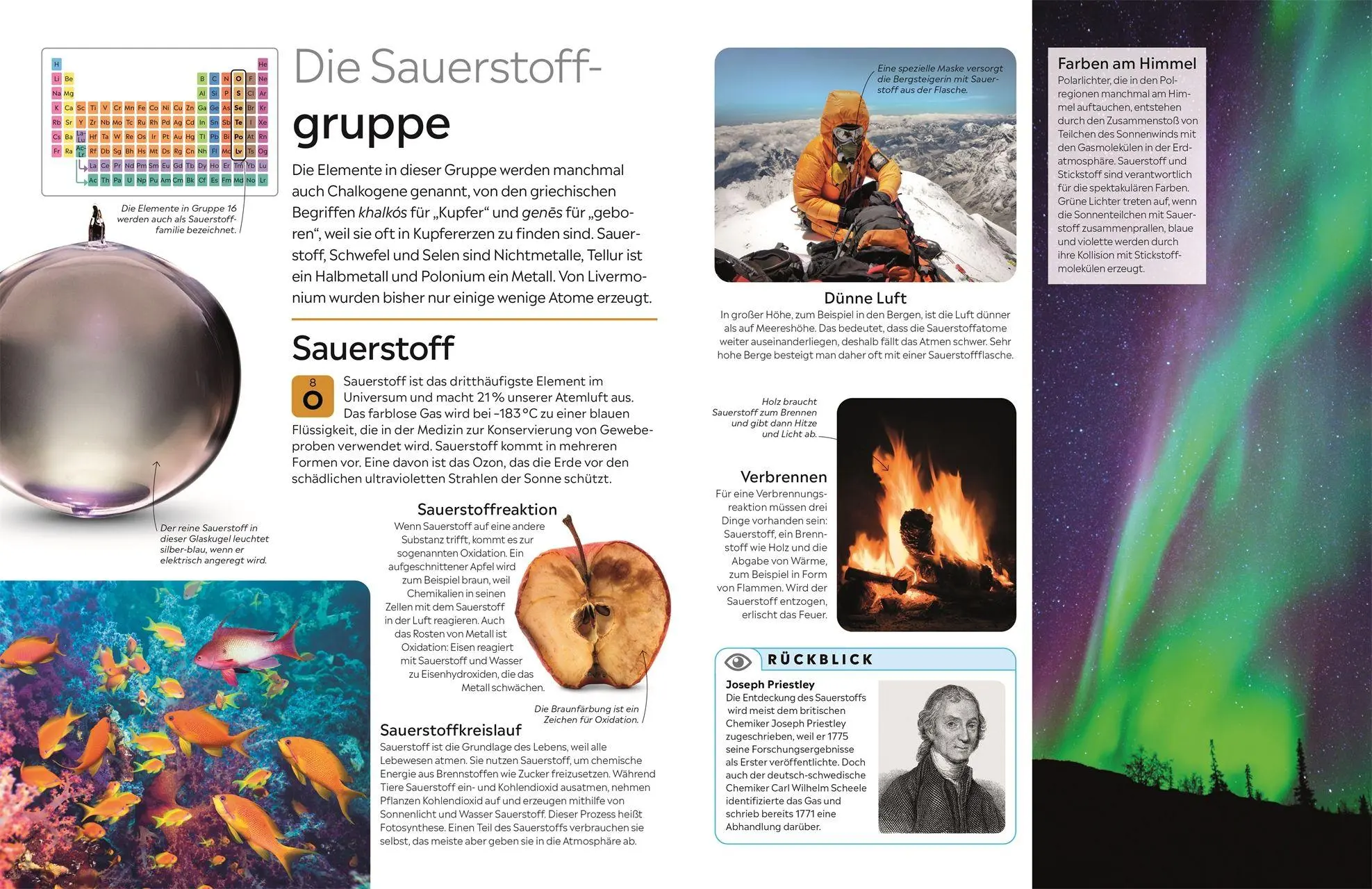 Bild: 9783831052448 | memo Wissen. Chemische Elemente | Adrian Dingle | Buch | memo Wissen